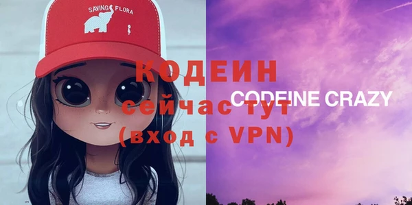 соль ск Арсеньев