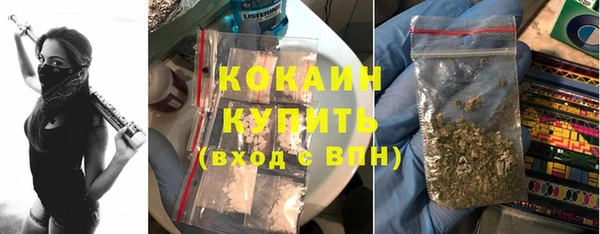 соль ск Арсеньев