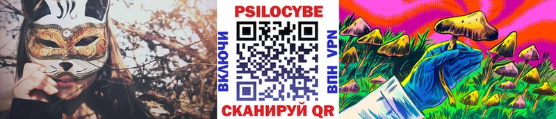 hydra рабочий сайт  Тула  Псилоцибиновые грибы Psilocybine cubensis 